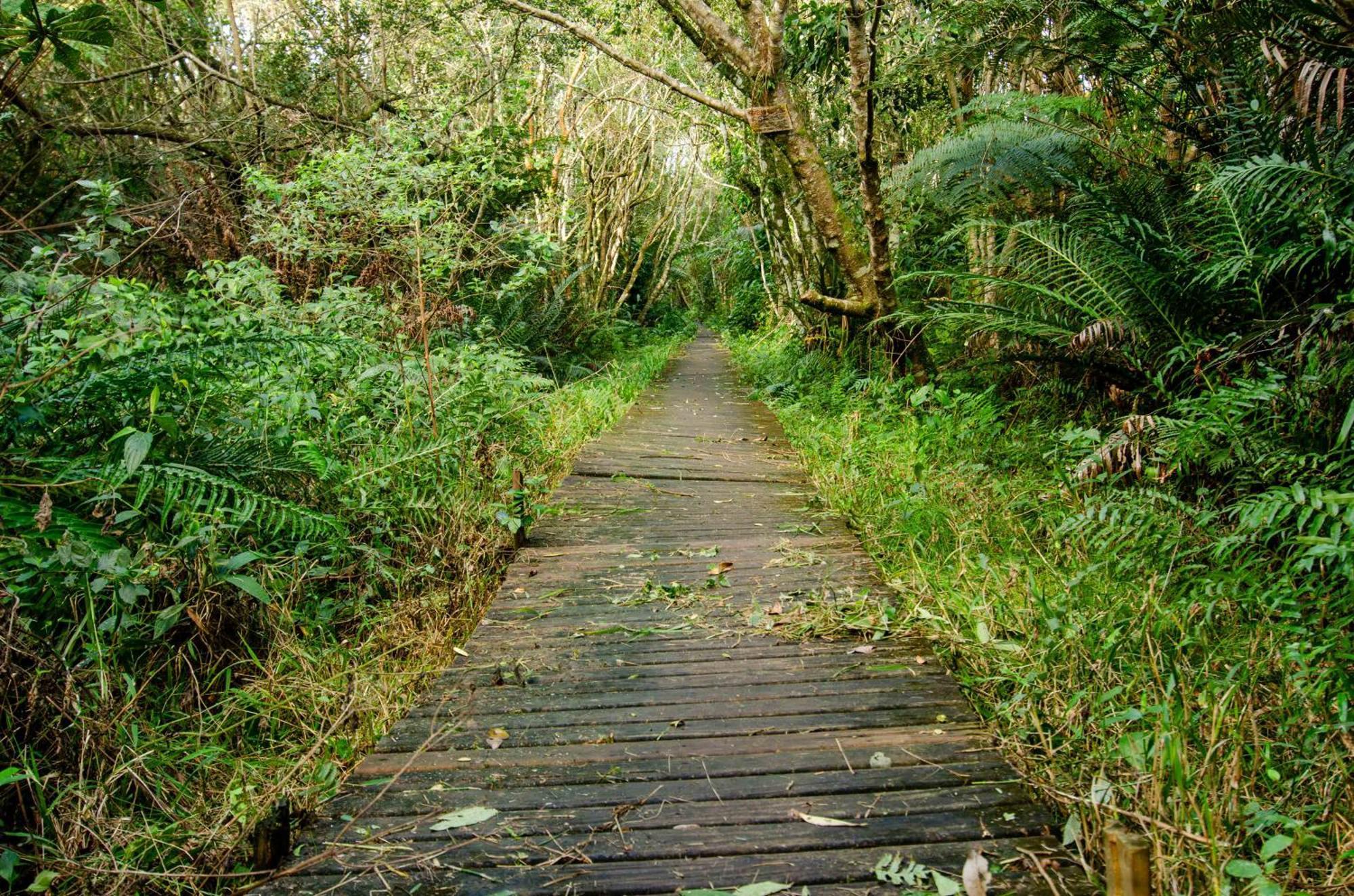 Albergue Do Moca Florianópolis